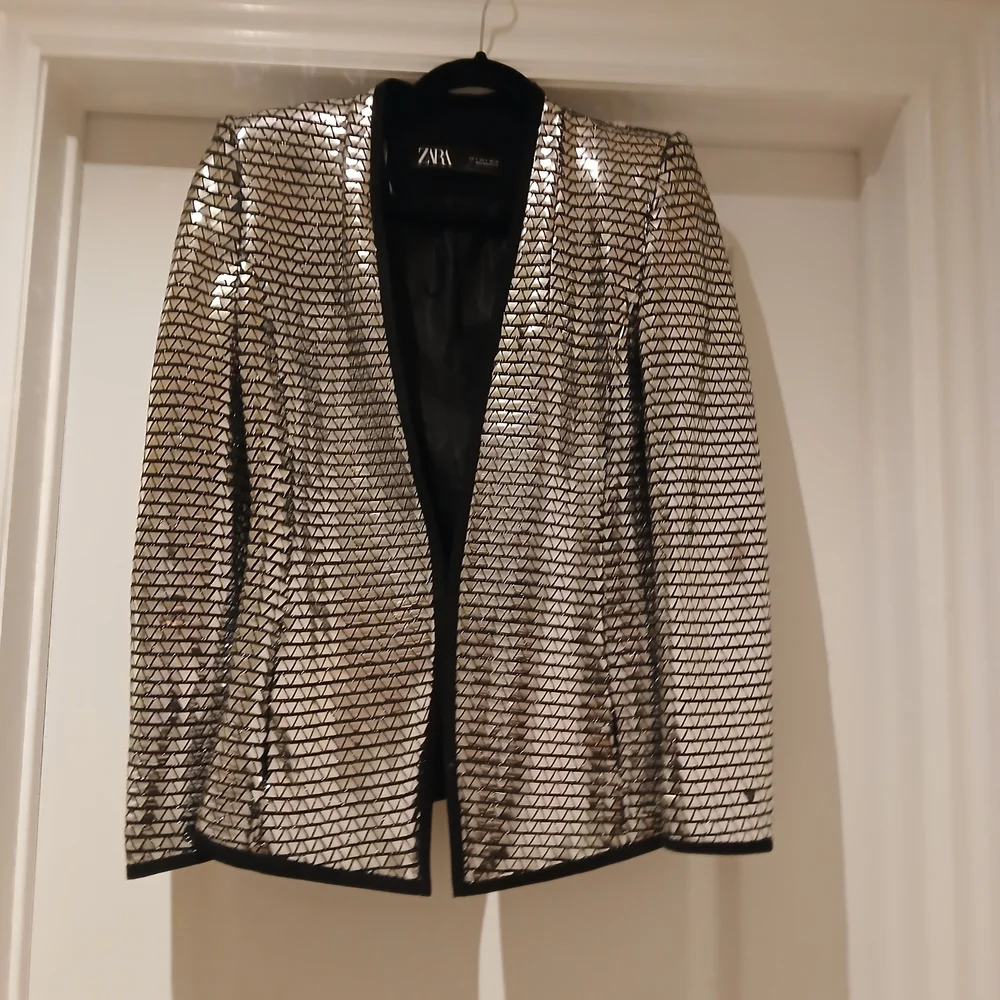 Zara Metallic Silver Blazer - Picture 4 of 14